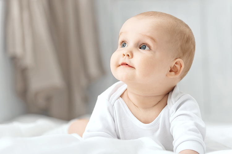 Integracja aferentna - oko, szyja i układ przedsionkowy