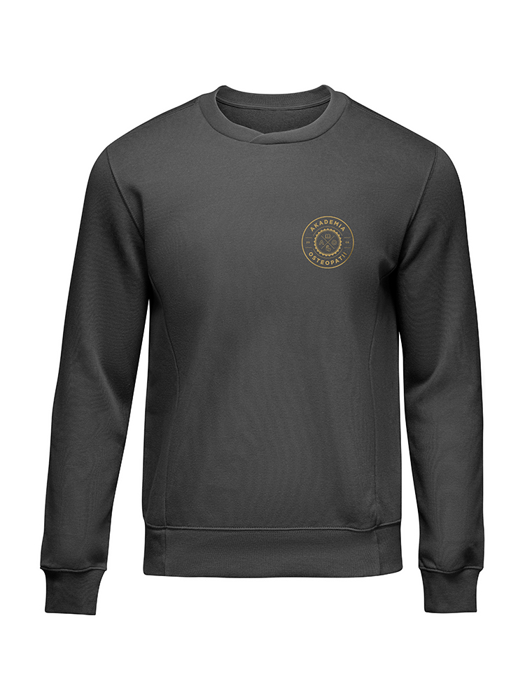 Black sweatshirt template. Pullover blank with long sleeve, mockup for design and print. Sweatshirt front and back view isolated on white background