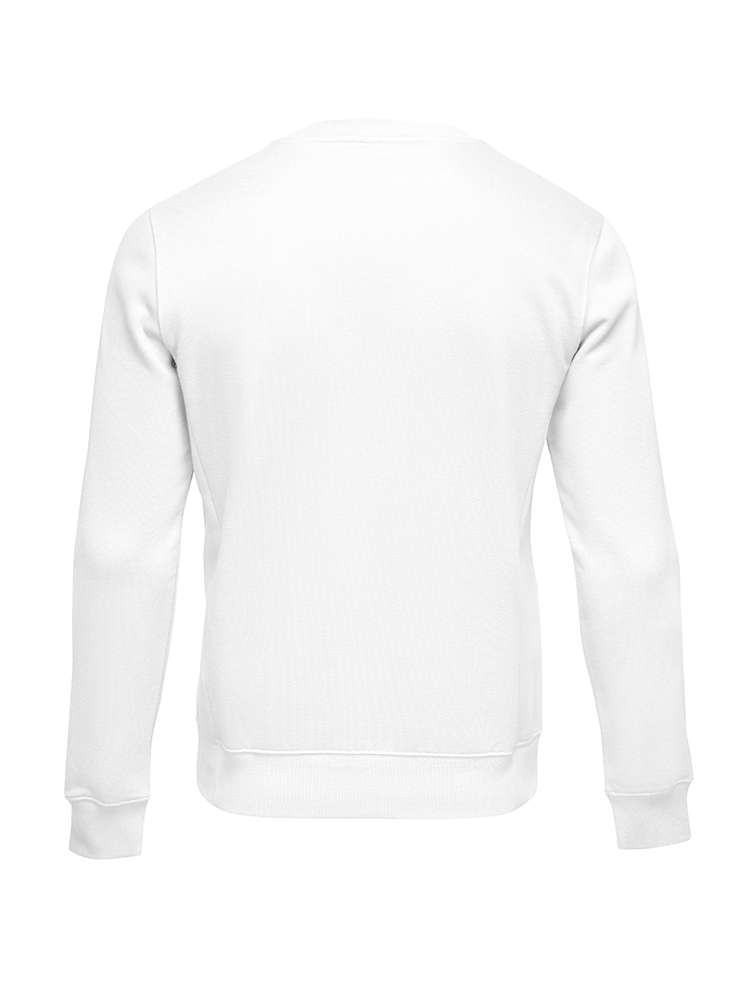 White sweatshirt template. Pullover blank with long sleeve, mockup for design and print. Sweatshirt front and back view isolated on white background