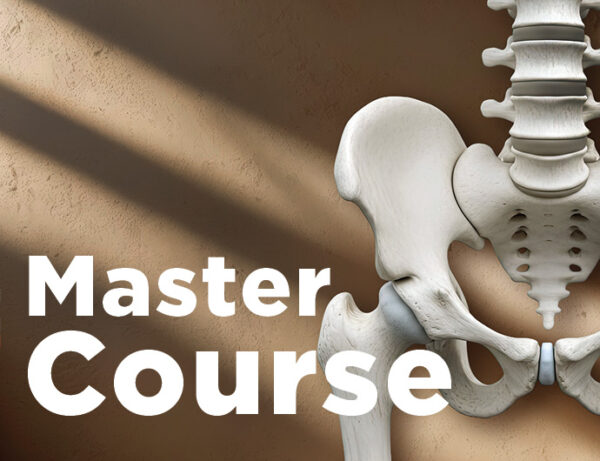 Anatomia sekcyjna: MIEDNICA